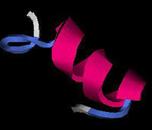 Protein Folding - click to see a movie (0.4 MB)