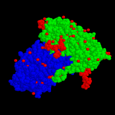 CPK image of the Ricin protein